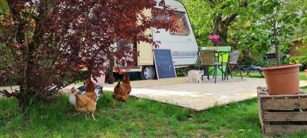 Caravane L'Attrape-Reve Aux Portes Du Chateau De Chambord Et Cheverny Mont-près-Chambord Εξωτερικό φωτογραφία