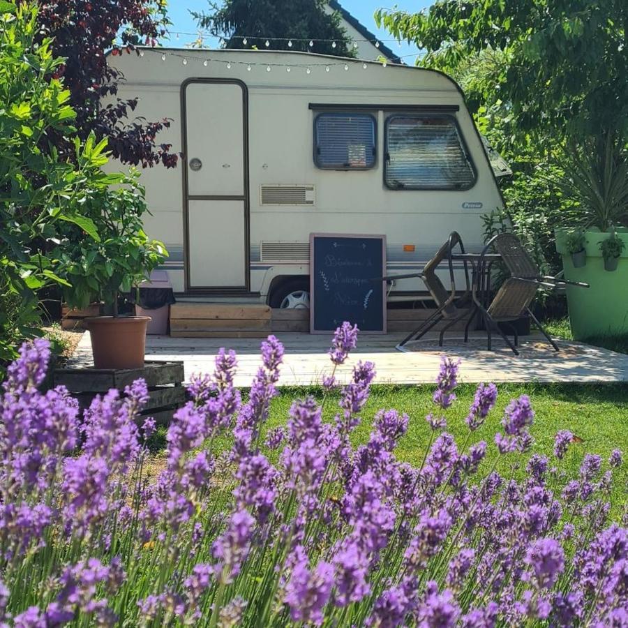 Caravane L'Attrape-Reve Aux Portes Du Chateau De Chambord Et Cheverny Mont-près-Chambord Εξωτερικό φωτογραφία